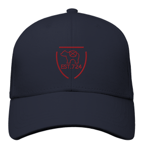 Stadtwappen 1.1 - Organic Baseball Cap